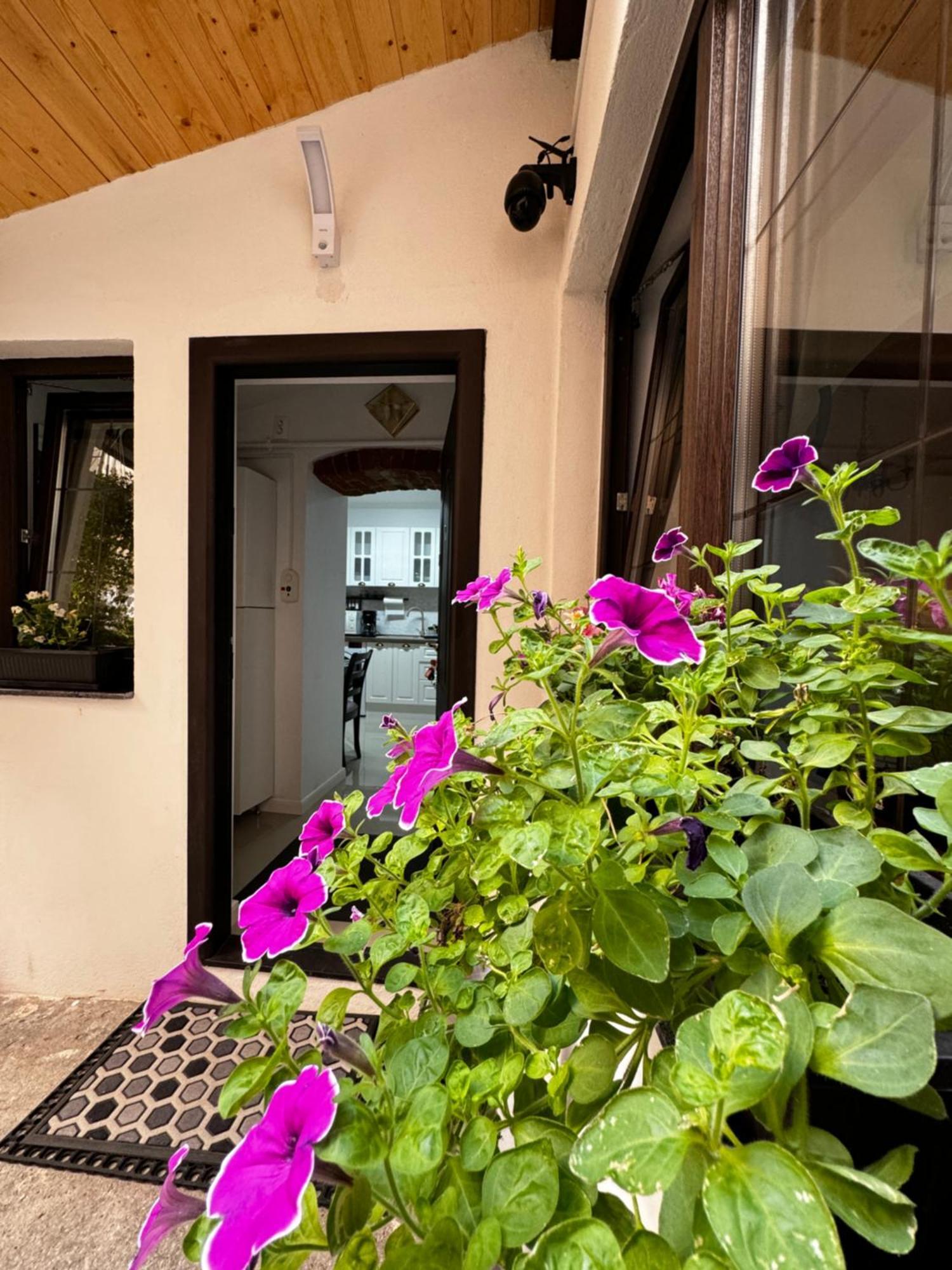 Balcescu Central Residence Sibiu Ngoại thất bức ảnh